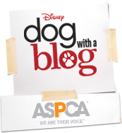 Disney Dog with a Blog - 10/12 at 9:40p/8:40c - ASPCA Kids