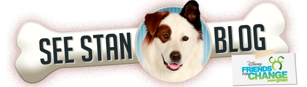 See Stan Blog