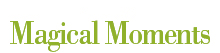 Downloads - The Odd Life of Timothy Green