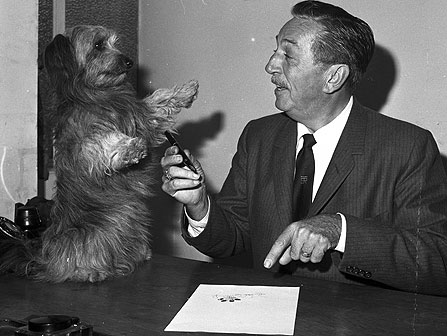 Walt Disney