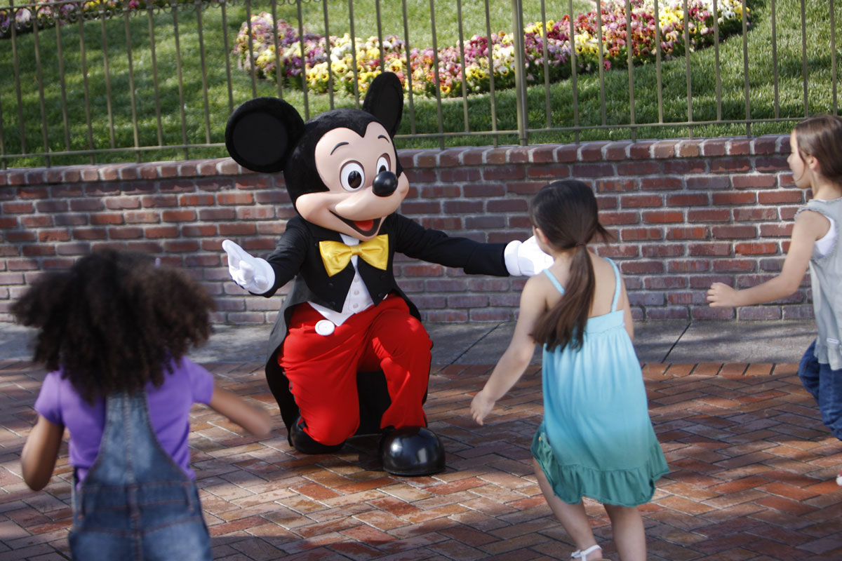 Disney Insider Fan Story