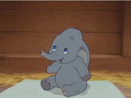 Dumbo the baby elephant sneeze GIF