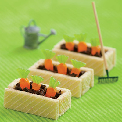 Spring_Spoonful_carrotcookies spring carrot cookies