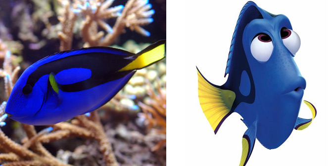 Real Fish Versus Finding Nemo Fish | Whoa | Oh My Disney