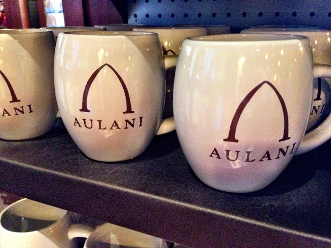 Disney Aulani Canecas