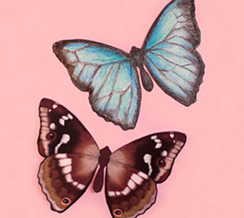 Paint Your Own Butterfly