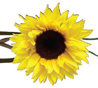 Sunflower Wind Streamer