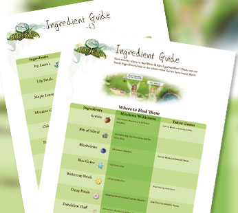 Ingredient Guide