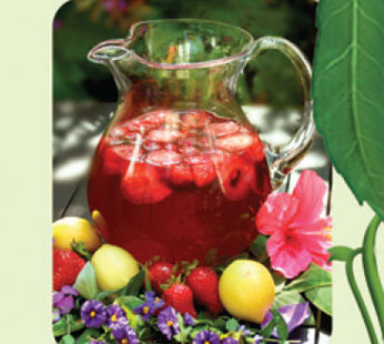 Neverberry Punch
