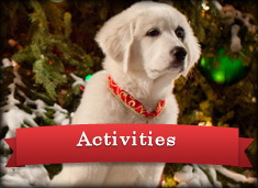 Activities