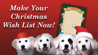 Christmas Wish List Activity