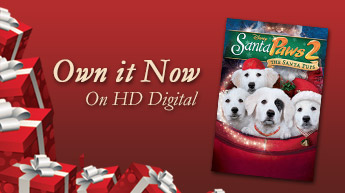 Own It Now on Digital HD