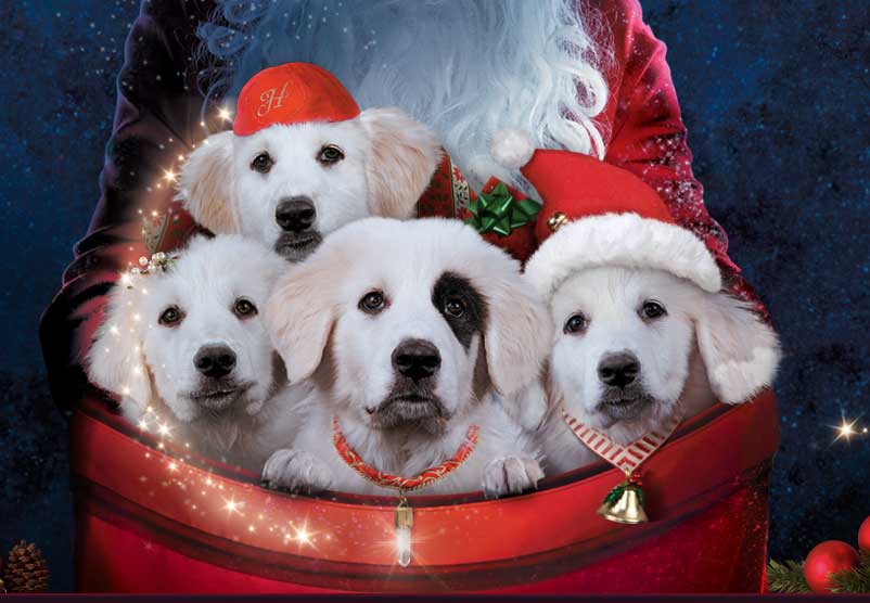 santa-paws-2-the-santa-pups-disney-movies