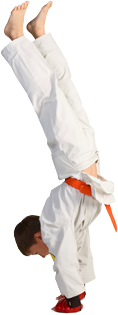 Boy doing karate.