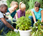 TRYathlon Garden of Possibilities